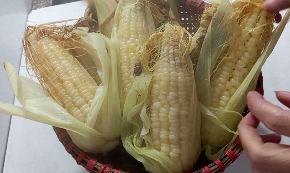 Đã tìm ra 5 'kẻ thù' của ung thư gan: Toàn thực phẩm quen thuộc, chợ Việt không lo thiếu