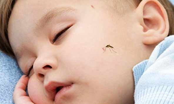 Khăn lau, kem bôi chống muỗi 'cháy hàng' mùa hè, tuy nhiên bác sĩ cảnh báo khi sử dụng cho trẻ