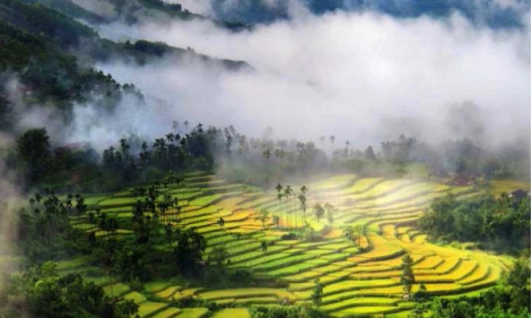 Sơn Tây Thượng trở thành vùng kinh tế sinh thái miền núi phát triển bền vững