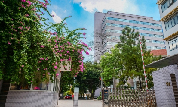 Đúng 3/8, 'Harvard Việt Nam' thành lập 4 trường thuộc đầu tiên, mục tiêu mở tổng cộng 7 trường