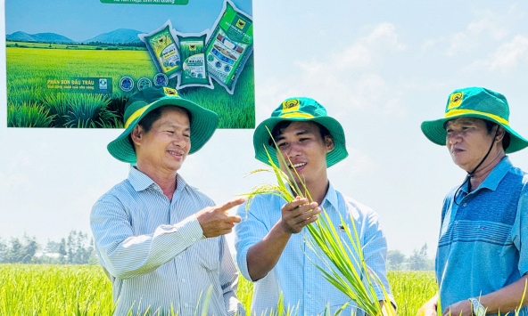 Đổi tư duy canh tác, nông dân An Giang nâng hiệu quả sản xuất lúa
