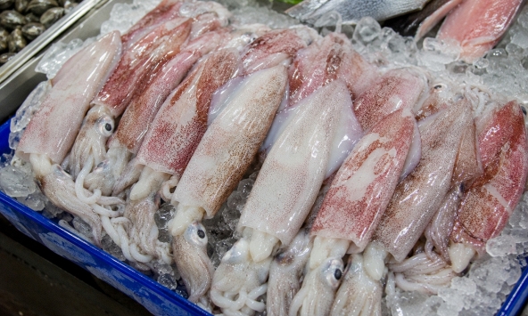 Mực có 5 dấu hiệu này: Cho không lấy, rẻ không mua