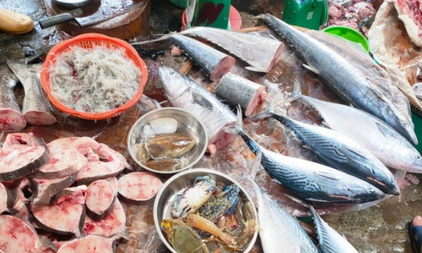 Người bán cá nói thật: Khách thường chọn con to, người trong nghề lại nhìn vào 5 dấu hiệu này trước