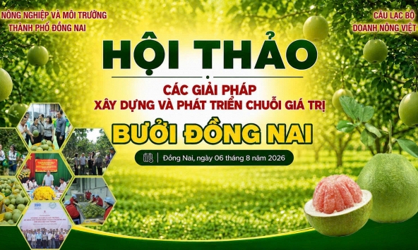 Đồng Nai: Tăng tốc xây dựng chuỗi giá trị bưởi bằng liên kết 4 nhà, chuyển đổi số và trí tuệ nhân tạo