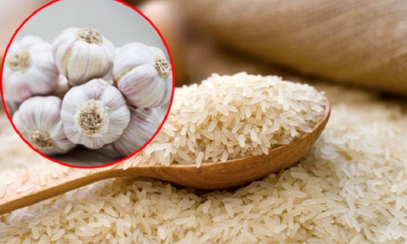 Nhiều người nhét tỏi vào thùng gạo hóa ra vì những lợi ích này