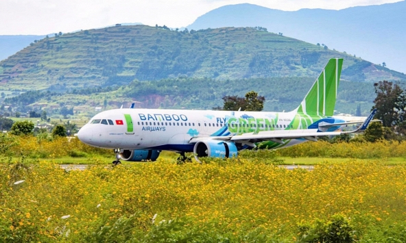 Trong tháng 8, website Bamboo Airways chỉ còn hiển thị đường bay Hà Nội - Quy Nhơn, 1 chuyến khứ hồi/tuần