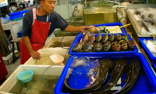 Chủ cửa hàng hải sản tiết lộ: Đây là những loại cá họ bán nhiều nhất mỗi sáng