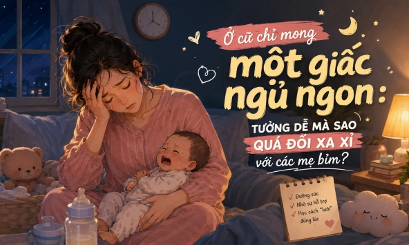 'Tôi chỉ muốn ngủ 1 giấc đàng hoàng mà sao lại khó đến vậy?'