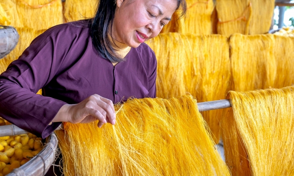 Ba lĩnh vực động lao động nữ chỉ hút chưa tới 1% vốn FDI