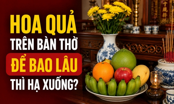 Hoa quả trên bàn thờ để bao lâu thì hạ xuống?