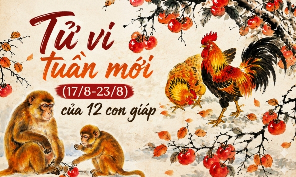 Tử vi tuần mới (17/8 - 23/8): Top 4 con giáp có quý nhân vượng nhất, càng chủ động càng gặp nhiều cơ hội