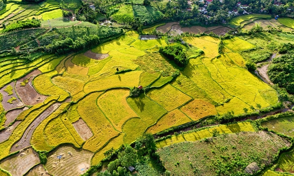    Di sản ruộng bậc thang độc đáo giữa vùng cao xã Ba Vì 