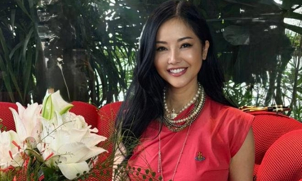 Diva Hồng Nhung thông báo khẩn