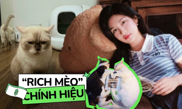 'Rich mèo' có máy đi vệ sinh tự động hơn 12 triệu, được thuê hẳn phòng trọ riêng: Tình trạng túi tiền của các 'con sen'