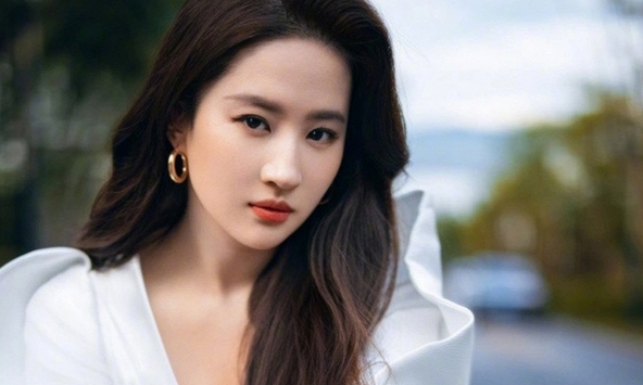 Người cướp chén cơm của Lưu Diệc Phi, Triệu Lệ Dĩnh