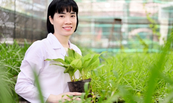 Đưa cây cỏ bản địa lên máy tính để sàng lọc thuốc mới