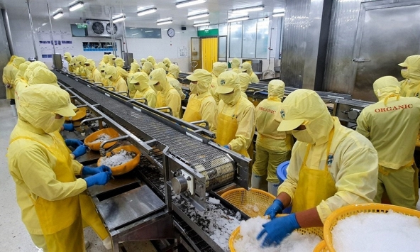 Phân công theo giới tạo hai lớp rủi ro trong lao động thủy sản