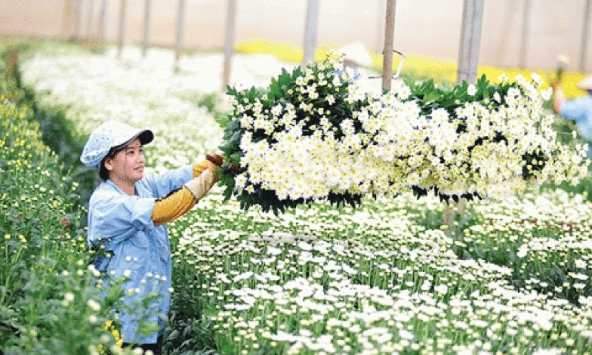 Lâm Đồng tiếp sức phụ nữ khởi nghiệp trong thời đại số