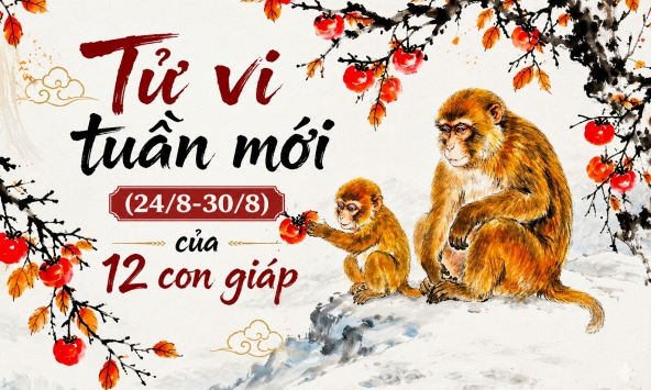 Tử vi tuần mới (24/8 - 30/8): 5 con giáp đón tài lộc khởi sắc, có người ký được hợp đồng lớn, có người thu hồi tiền chờ đã lâu