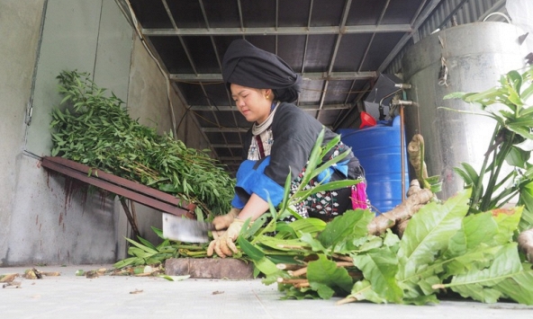 Nông thôn mới nâng ngưỡng phụ nữ tham gia mô hình kinh tế