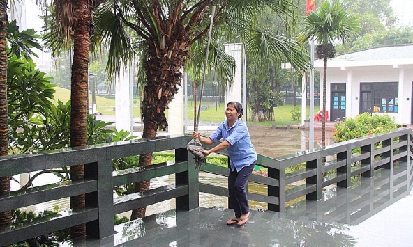 Người giúp việc gia đình vẫn ngoài bảo hiểm thất nghiệp