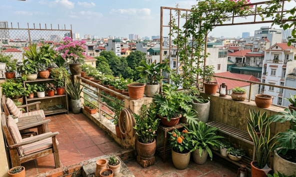 Lời khuyên khi đặt nhiều chậu cây trên ban công, sân thượng