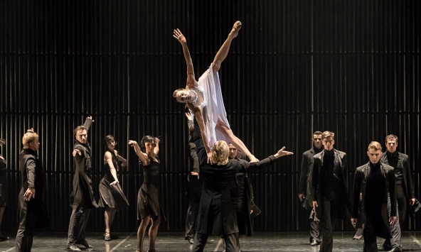 Một vở ballet, 8 đêm diễn, vé cao nhất 20 triệu đồng: Thị trường nghệ thuật Việt đang thay đổi?