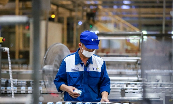 Từ đồng cỏ đến nhà máy: Tập đoàn TH giảm hàng chục nghìn tấn carbon như thế nào?