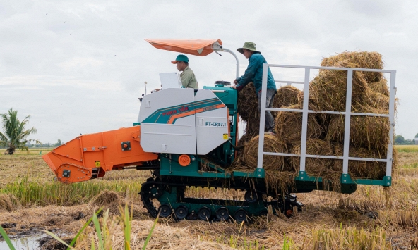 Phân Bón Cà Mau mở lối canh tác lúa thích ứng biến đổi khí hậu
