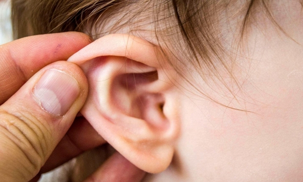 Đứa trẻ hơn 1 tuổi thường xuyên gãi tai, sau khi phát hiện ra nhiều hạt mầm bên trong, bác sĩ cảnh báo