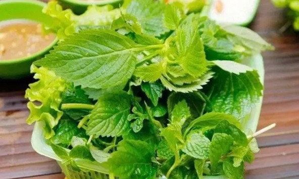 Tin vui cho những người thích ăn rau kinh giới!