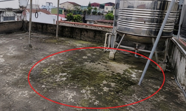 Lời khuyên cho những gia đình lâu ngày không vệ sinh sân thượng
