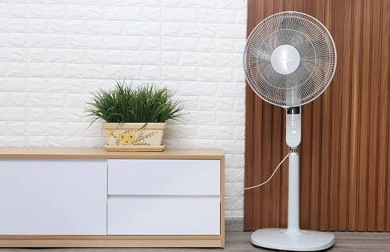 Nên dùng quạt trần hay quạt cây thì mát hơn?