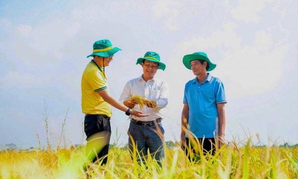 Tiếp nối ngày truyền thống 10/9: Phân Bón Cà Mau vươn mình phát triển