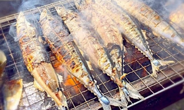 Rẻ hơn cá hồi nhưng dinh dưỡng chẳng 'kém cạnh', DHA gấp 3: Bạn có biết đó là cá gì?