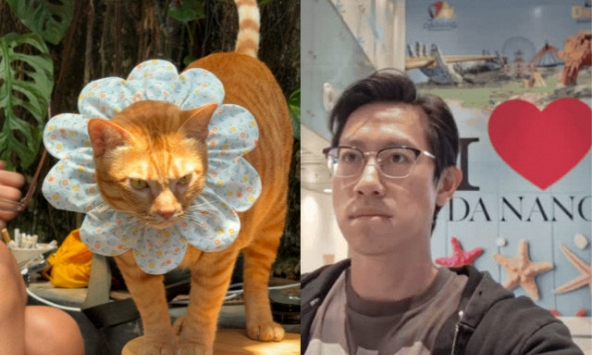Một chú mèo ở quán cà phê Đà Nẵng bất ngờ thành “ngôi sao” quốc tế, khách Tây đua nhau bay qua Việt Nam để gặp