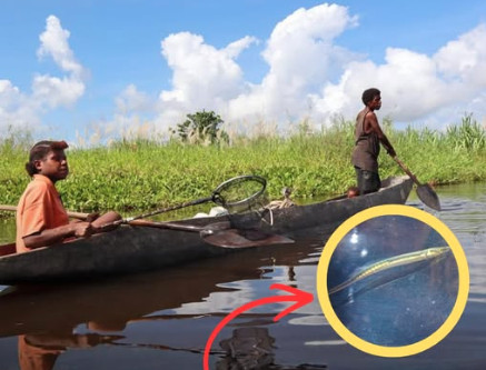 Sinh vật mất tích hơn 40 năm bất ngờ 'sống lại': Người phụ nữ vô tình tìm thấy 2 con vào phút cuối