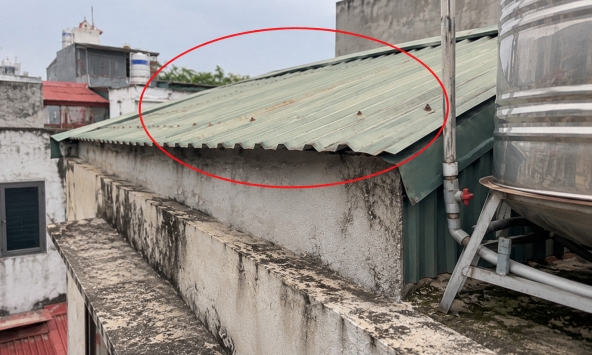 5 lời khuyên cho những gia đình lâu ngày chưa kiểm tra mái nhà