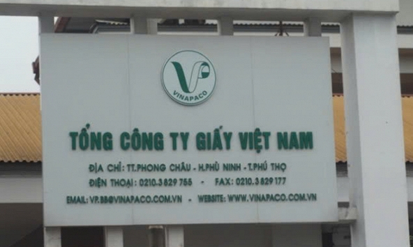 Sai phạm đất đai tại VINAPACO: Đề nghị chuyển điều tra nếu có dấu hiệu hình sự