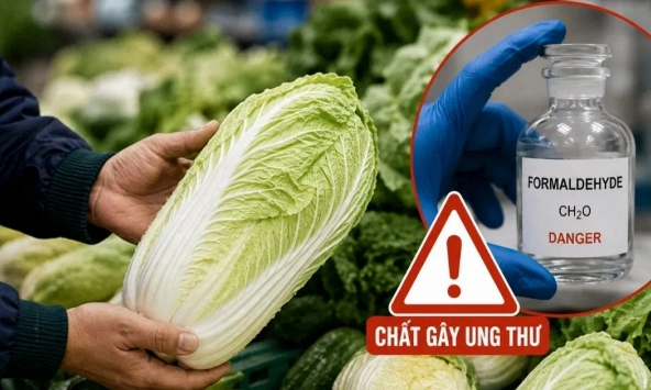 5 mẹo giúp bạn dễ dàng nhận biết cải thảo nhiễm formaldehyde