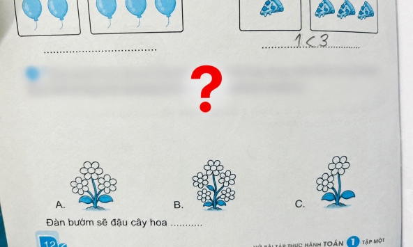 Bài Toán về đàn bướm khiến hội phụ huynh đọc xong 'hoa mắt chóng mặt': Sao mà rắc rối quá!