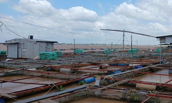 Vụ cha cứu con bị điện giật, cả 2 rơi xuống sông mất tích: Tìm thấy thi thể 2 cha con