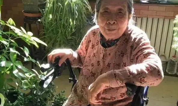 Cụ bà 94 tuổi có 300.000 người hâm mộ: Một mình sống đời tự tại, đến người trẻ cũng phải ghen