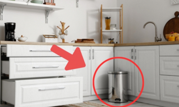 Đặt thùng rác ở đâu trong nhà để không 'chặn' tài lộc? Vị trí nhiều gia đình hay để sai