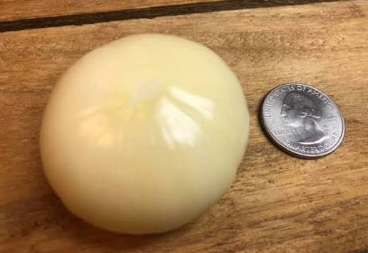 Trồng tỏi gần 1 năm, người đàn ông 67 tuổi đào lên rồi sững sờ: Một kỷ lục thế giới mới được xác lập!