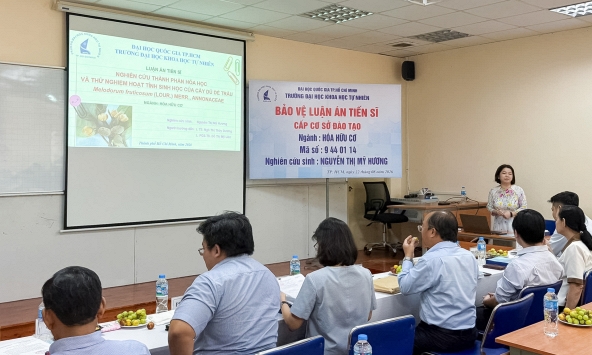 Sáu hợp chất mới được tìm thấy từ cây dủ dẻ trâu