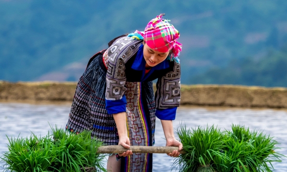 Thu hồi đất nông nghiệp, quyền hỗ trợ tính theo điều gì?