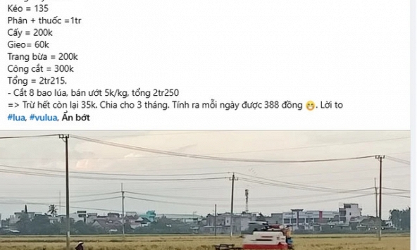 Bài đăng trồng 2 sào lúa chỉ lãi 35.000 đồng bỗng hút 2,5 triệu lượt xem: Nội dung thế nào?
