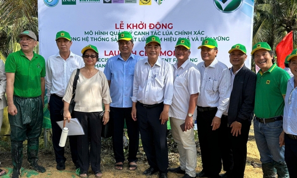 Hiệu quả mô hình lúa – tôm và sức khỏe đất sau mỗi mùa vụ