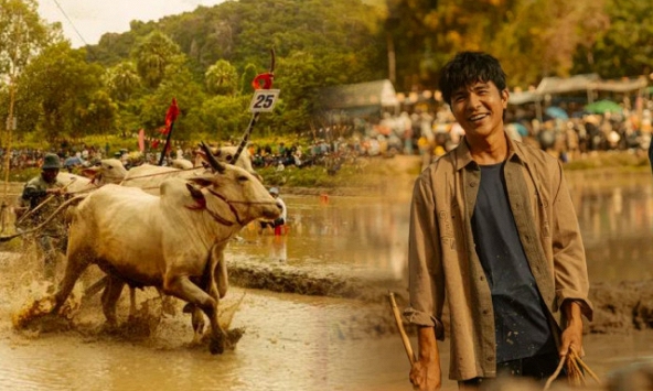 Lễ hội khiến Steven Nguyễn 'lao đao': Có đôi bò giá hơn 300 triệu, chạy sau vẫn có thể thắng 